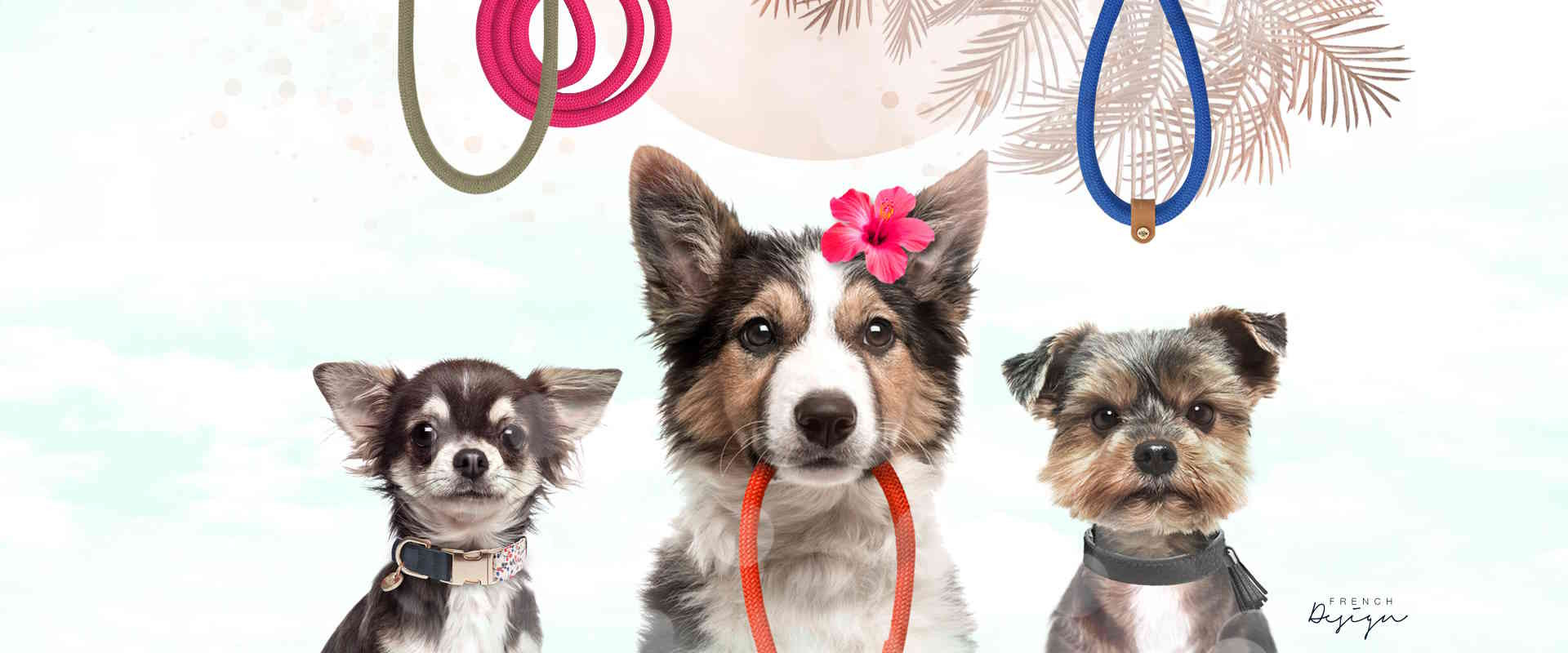Milk & Pepper, Fashion And Accessories For Dogs & Cats -  Accessories summer 2023